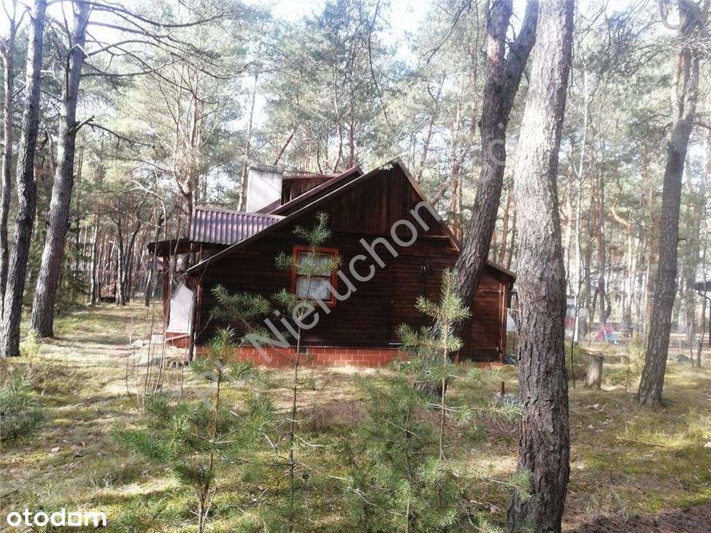 Dom letniskowy wśród lasów w gminie Dobre-12