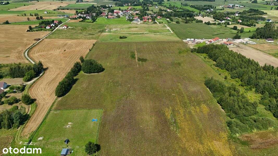 Działka w Gadach | 12 km do centrum Olsztyna! - Pełny obrazek: 5/6