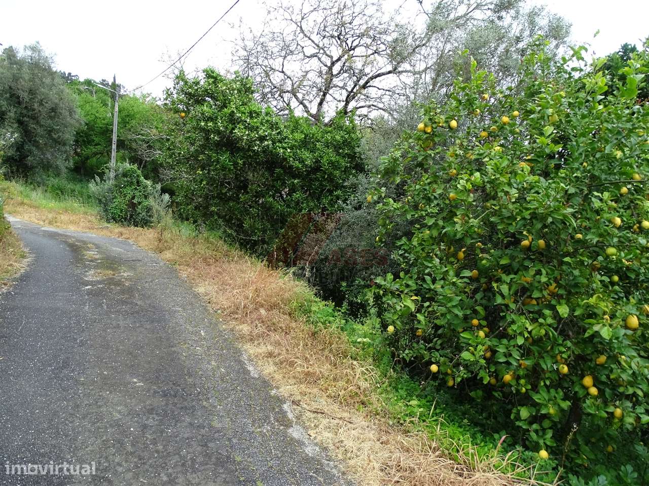 Moradia para Restaurar T2 Venda em Ribas,Celorico de Basto - Grande imagem: 5/16