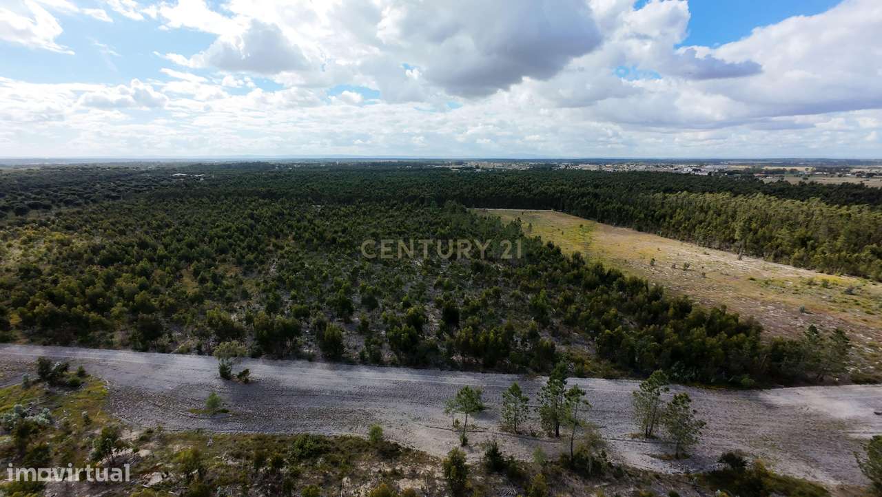 Magnifica Herdade Turística   em Santo Estêvão, Benavente-11