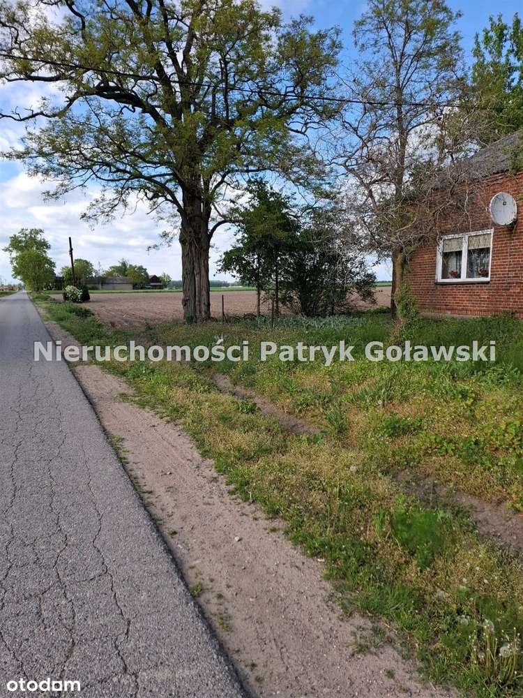 Dom na sprzedaż, Bielawy, 2 pokoje - Pełny obrazek: 4/7