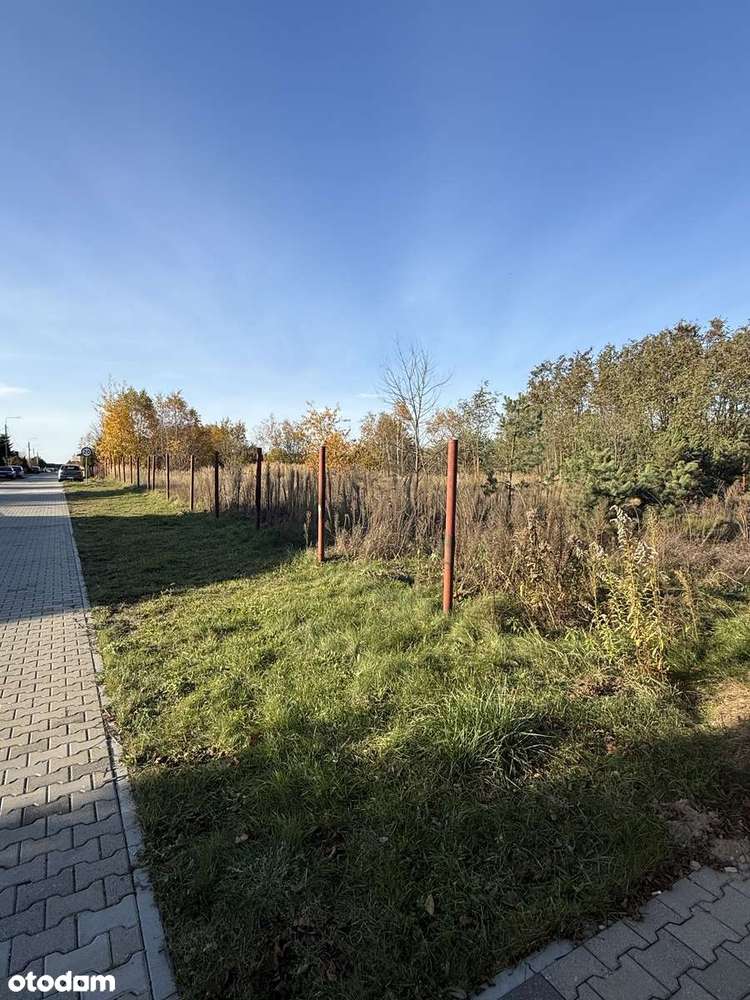 Działka Cedzyna koło Kielc, idealna pod budowę domu - Pełny obrazek: 2/8