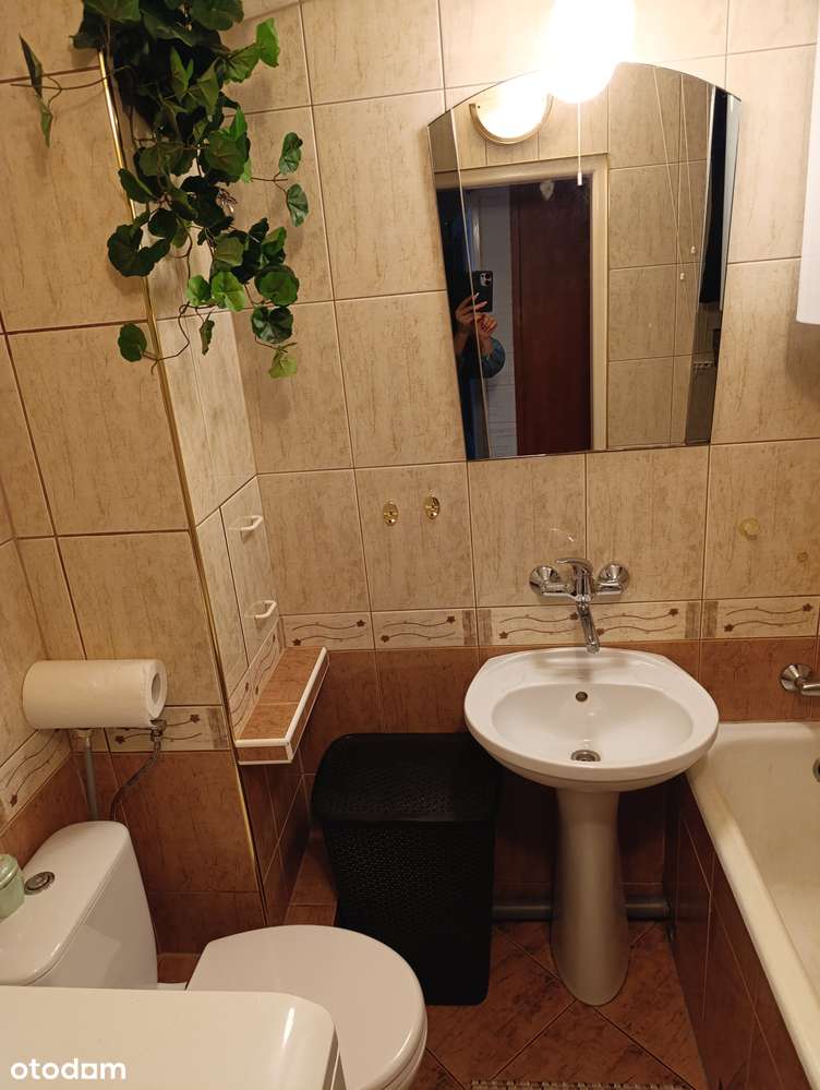 Przytulne 2-pokojowe mieszkanie na parterze - Pełny obrazek: 4/5