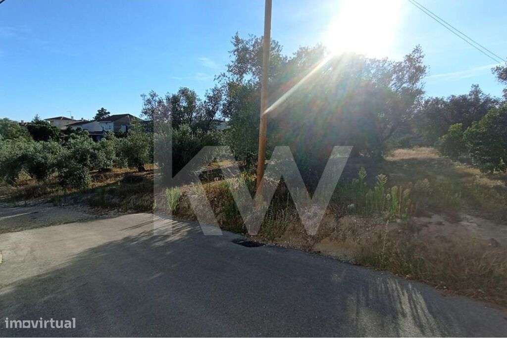 Terreno plano localizado na Gândara a 10Km de Coimbra - Grande imagem: 5/17