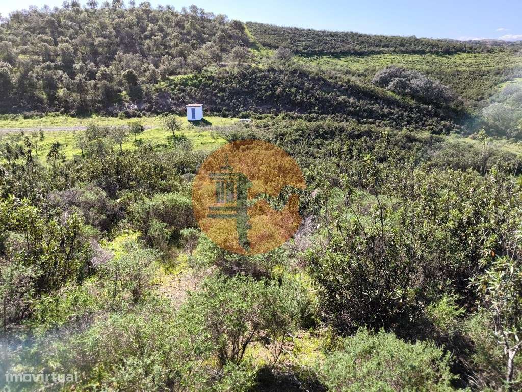 TERRENO COM 51.360 M2 - COM POSSIBILIDADE DE CONSTRUÇÃO - TURISMO -... - Grande imagem: 4/24