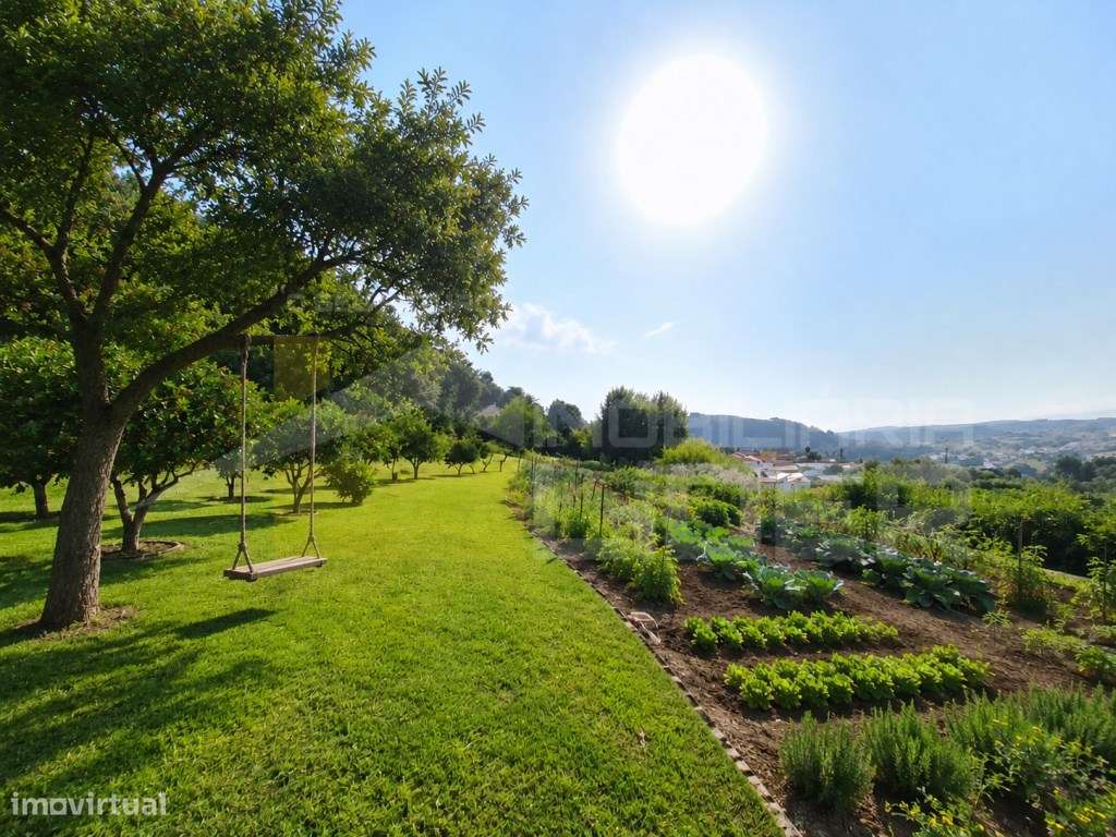 Ruína inserida em terreno urbano com 110m2 +2 parcelas de terreno R...-17