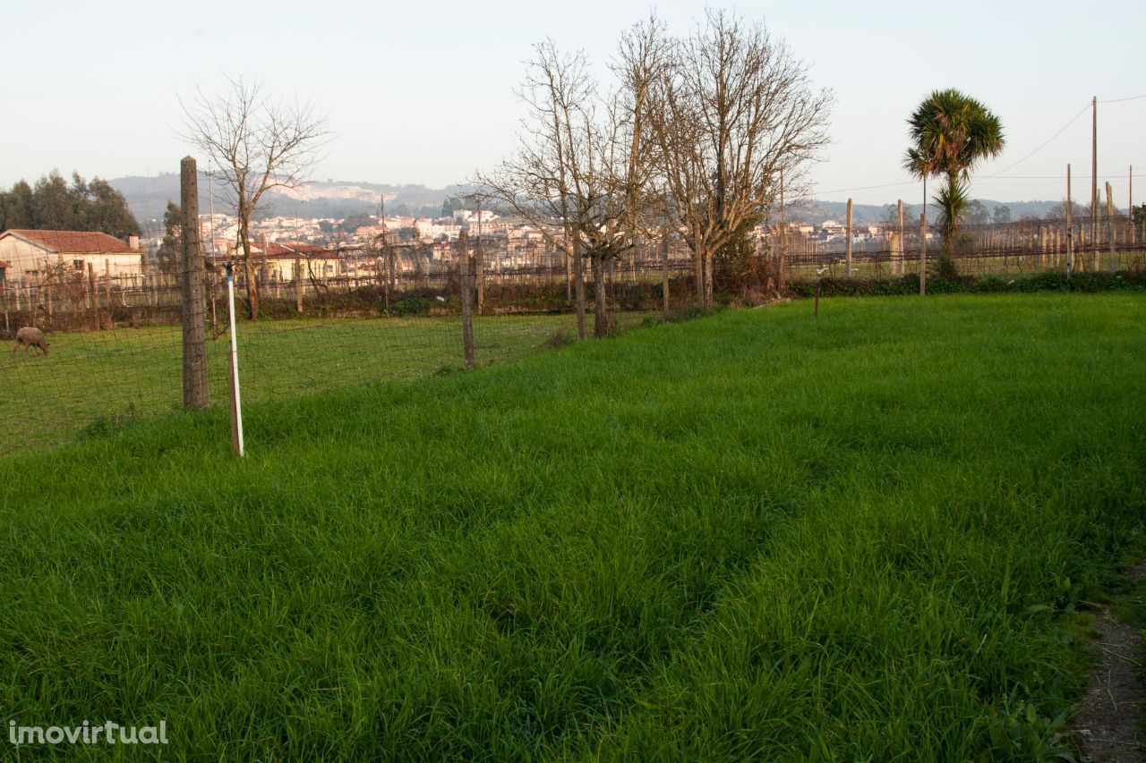 Terreno em Galegos Penafiel