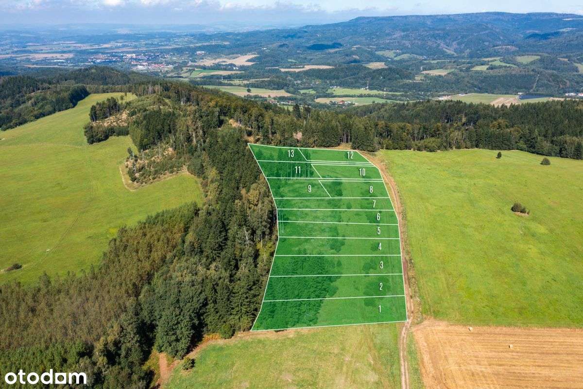 Działka widokowa z własnym lasem - Pełny obrazek: 2/8