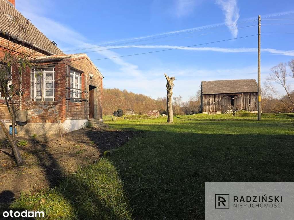 Poniemiecki dom przy lesie w Brzezince-1