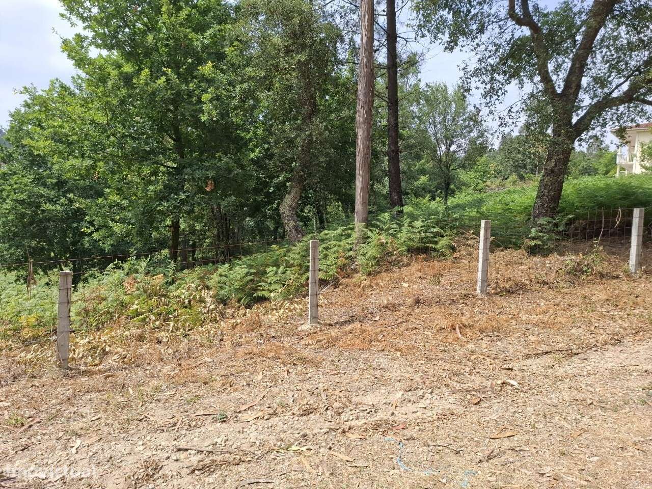 Terreno c/ projeto - Vale de Cambra-16