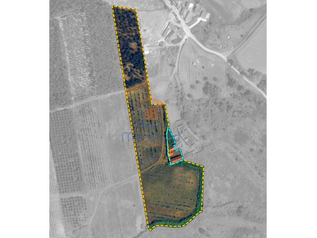 Quintinha 1,6 hectares | Maxial, Torres Vedras - Grande imagem: 3/24