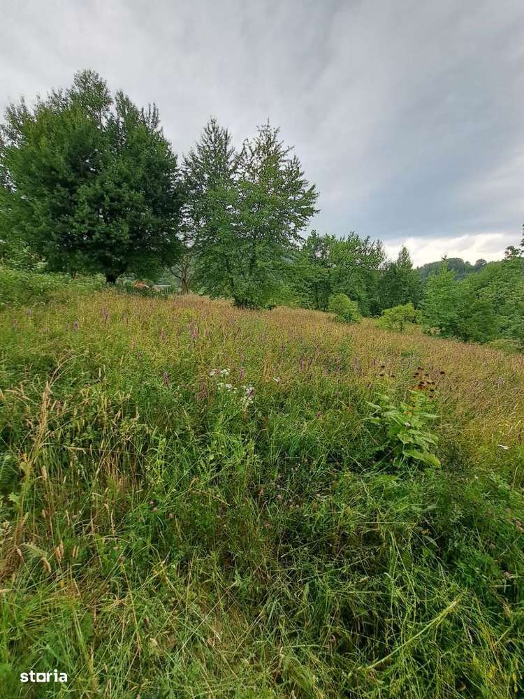 Teren intravilan 1000 mp - Imagine principală: 4/6