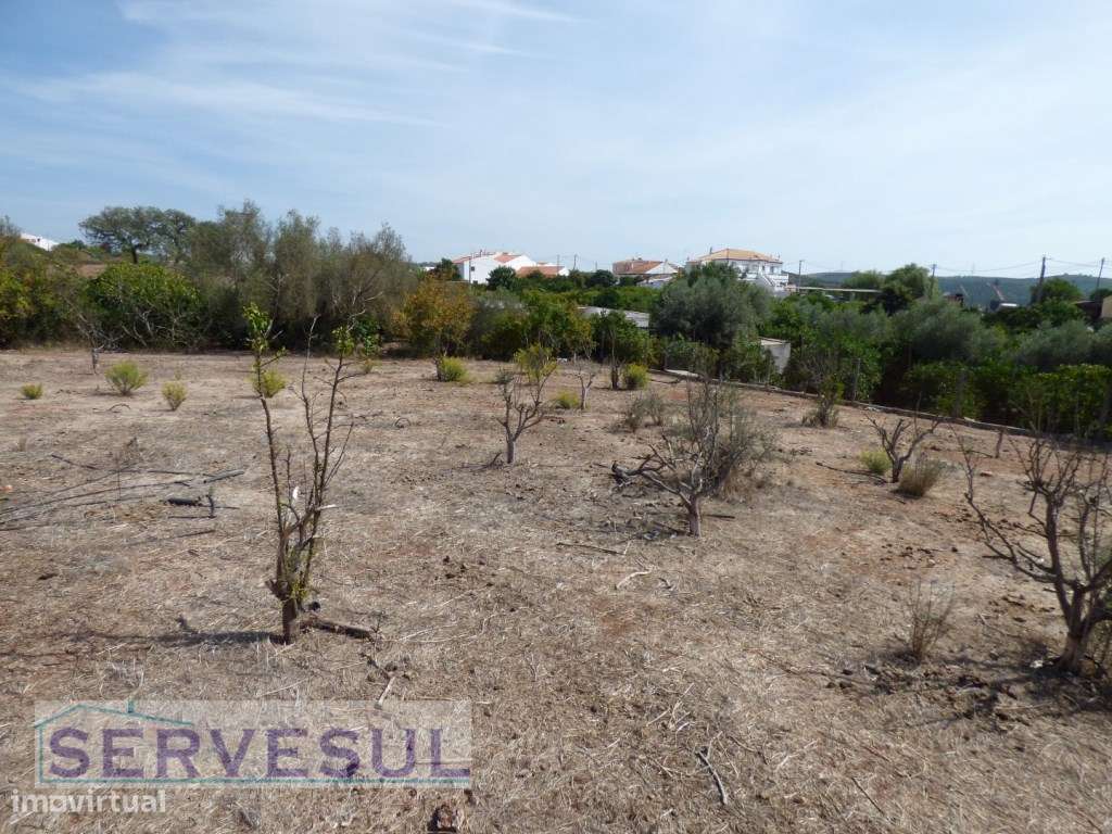 Boa Oportunidade de Investimento! Quinta com duas casas destinadas ...-19