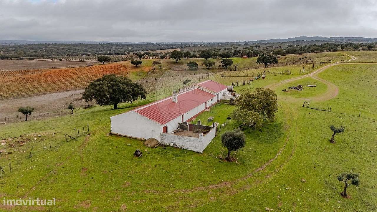 Quinta T1 para venda - Grande imagem: 4/22