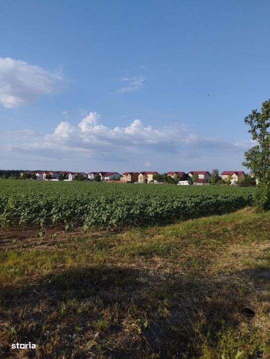 SE VINDE TEREN 5000 MP INTRAVILAN, MIXT CU DESCHIDERE LA DJ101 DE 42m - Imagine principală: 1/4