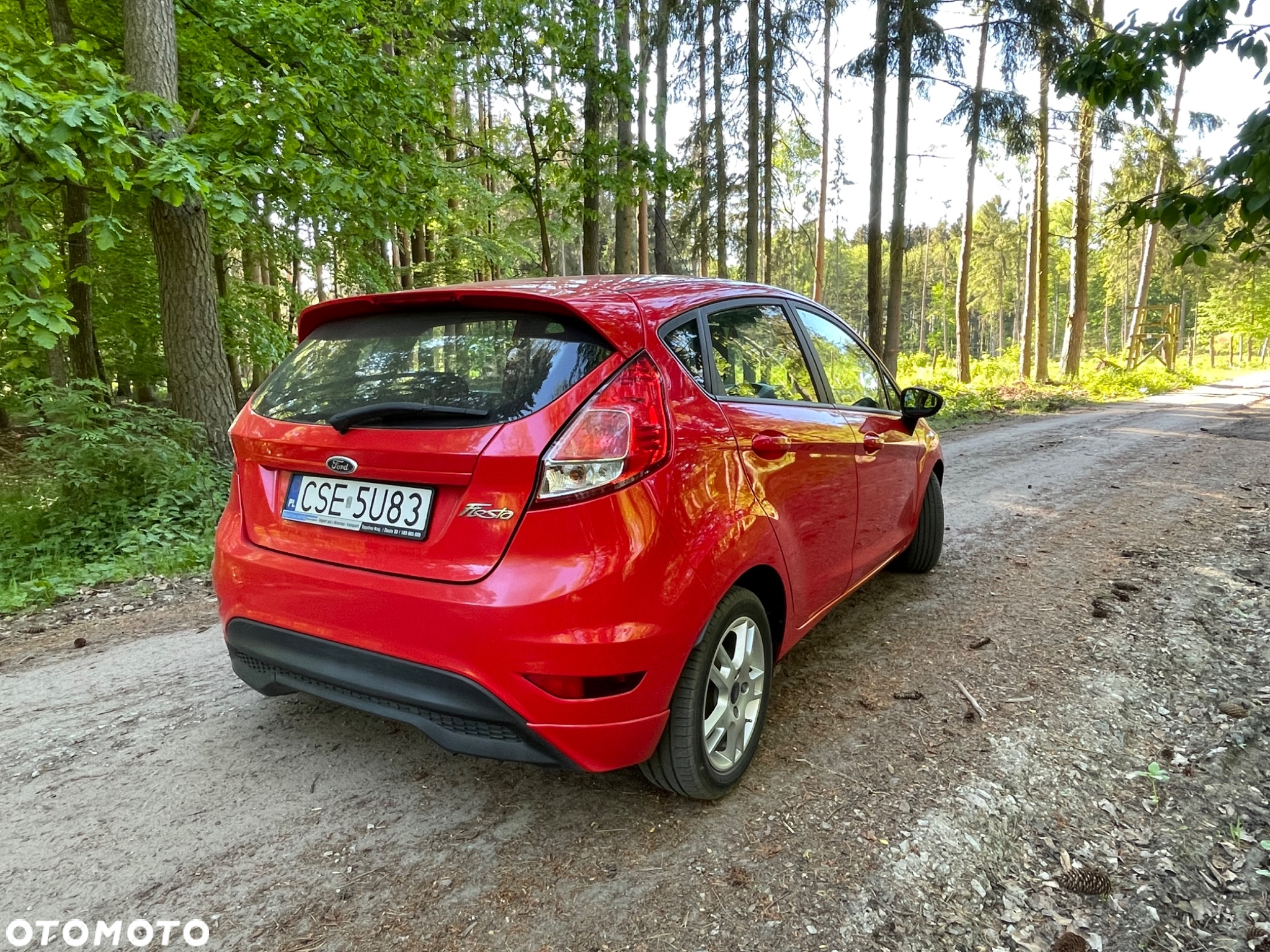 Ford Fiesta 1.6 TDCi Trend - 6