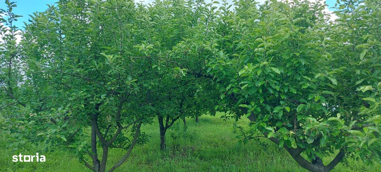 Propietate de vanzare - Imagine principală: 4/4