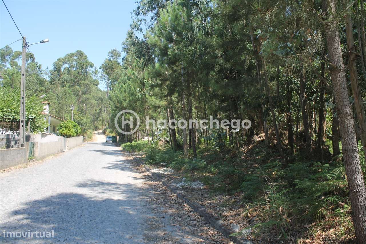 Terreno para Construção em Alvelos Barcelos-8