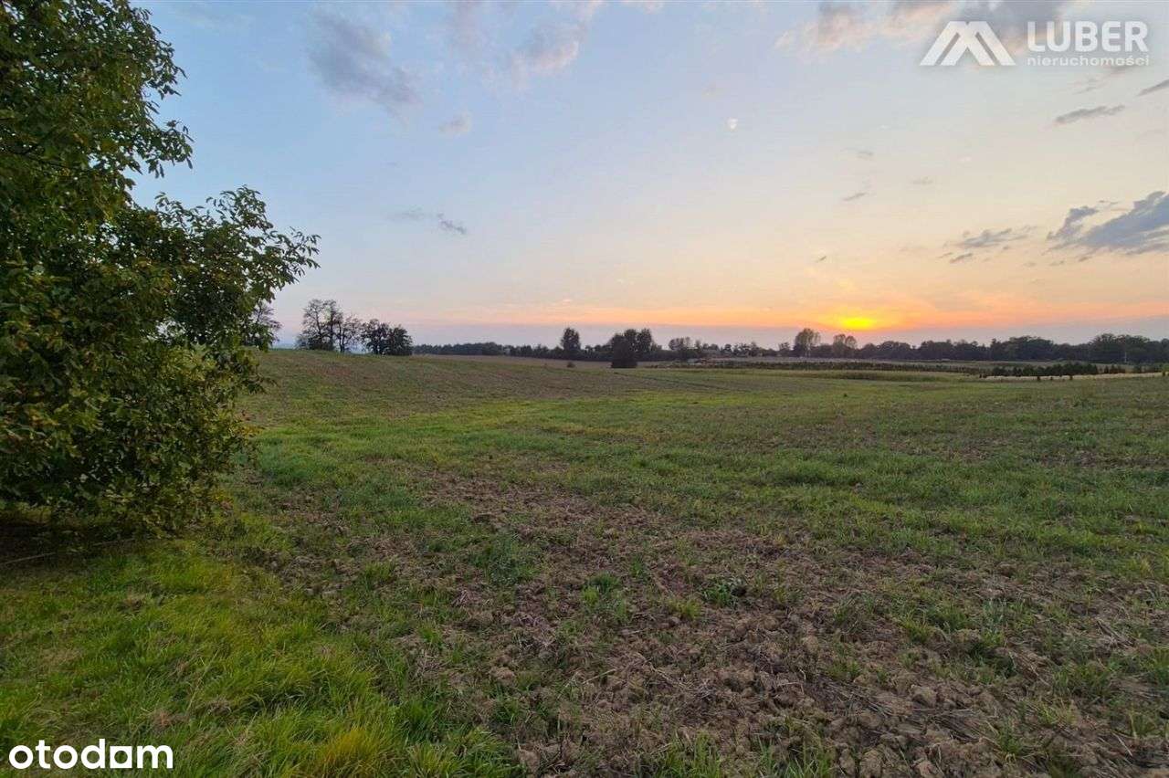 Uzbrojona i widokowa działka w Pisarzowicach-16