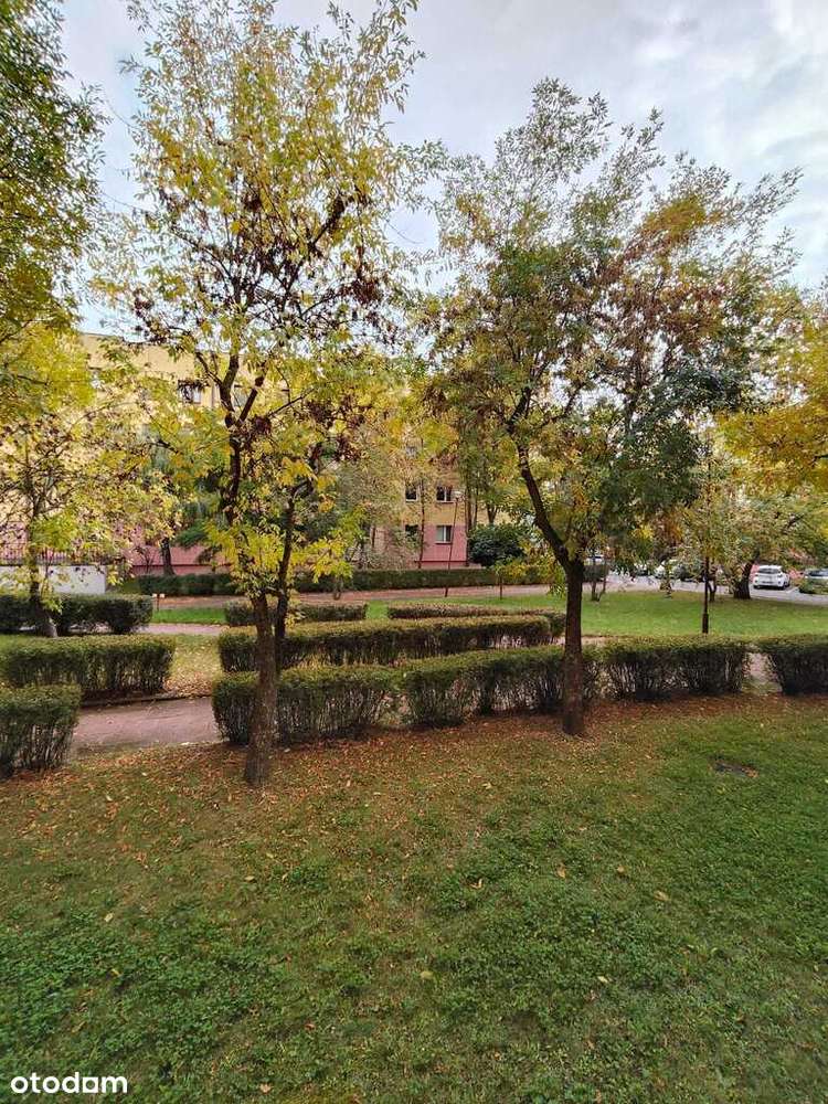 Mieszkanie, ul. Energetyków, Bełchatów-13