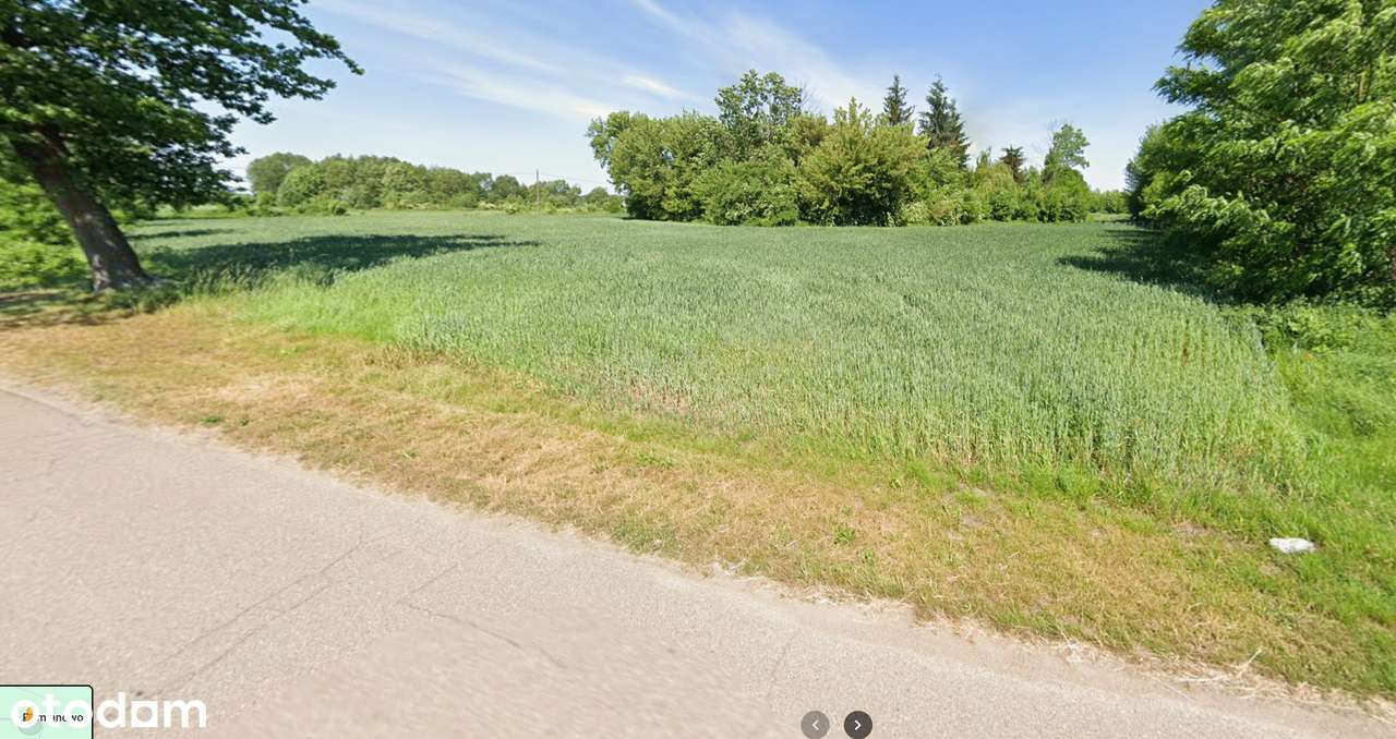 Na sprzedaż działka Rolno-budowlana 1,05 ha - Pomianowo (Dzierzążnia) - Pełny obrazek: 4/5