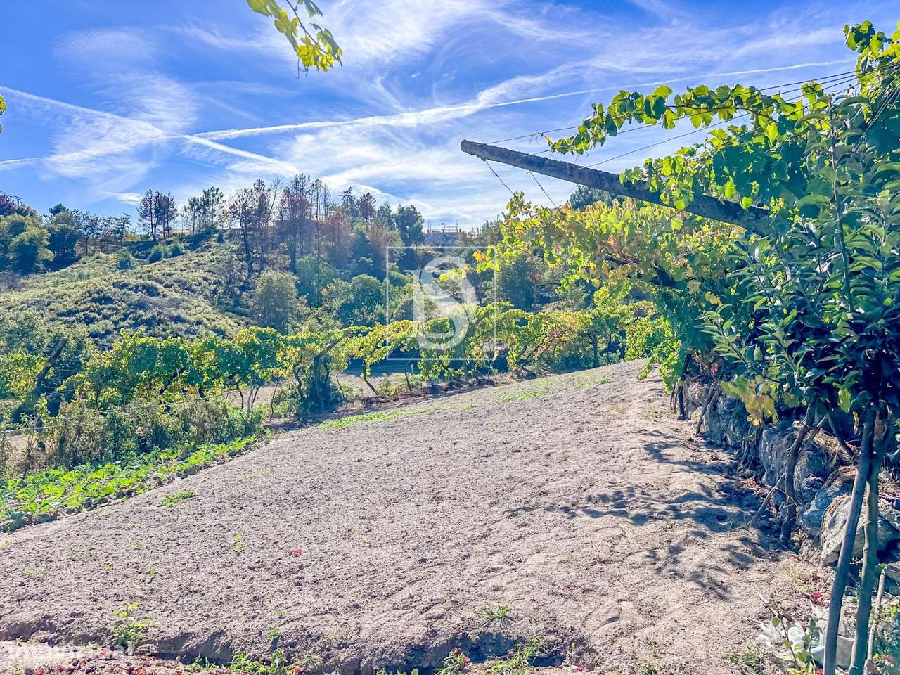 QUINTA COM 14.719 m² – GRILO, BAIÃO - Grande imagem: 5/41