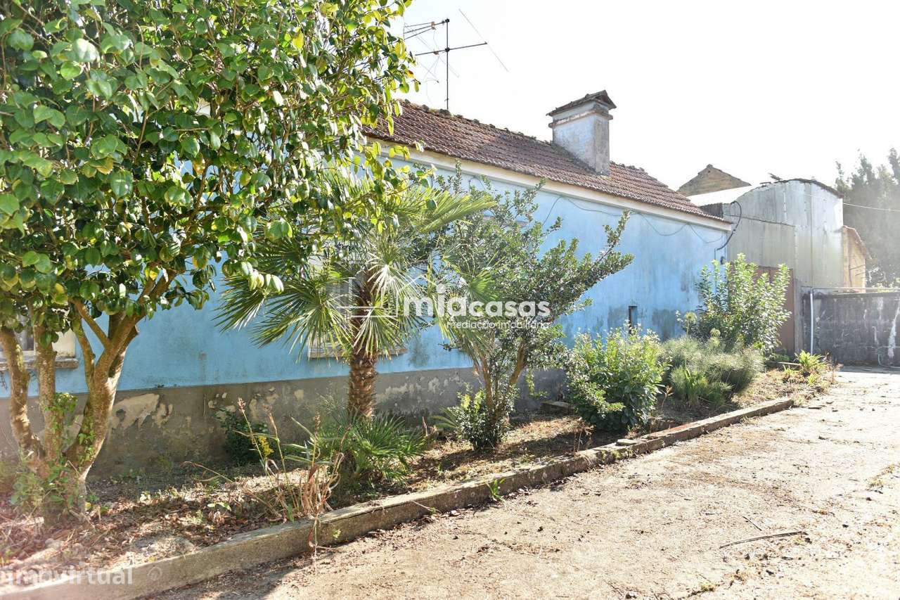 QUINTA COM MORADIA T3 ISOLADA - Grande imagem: 5/30