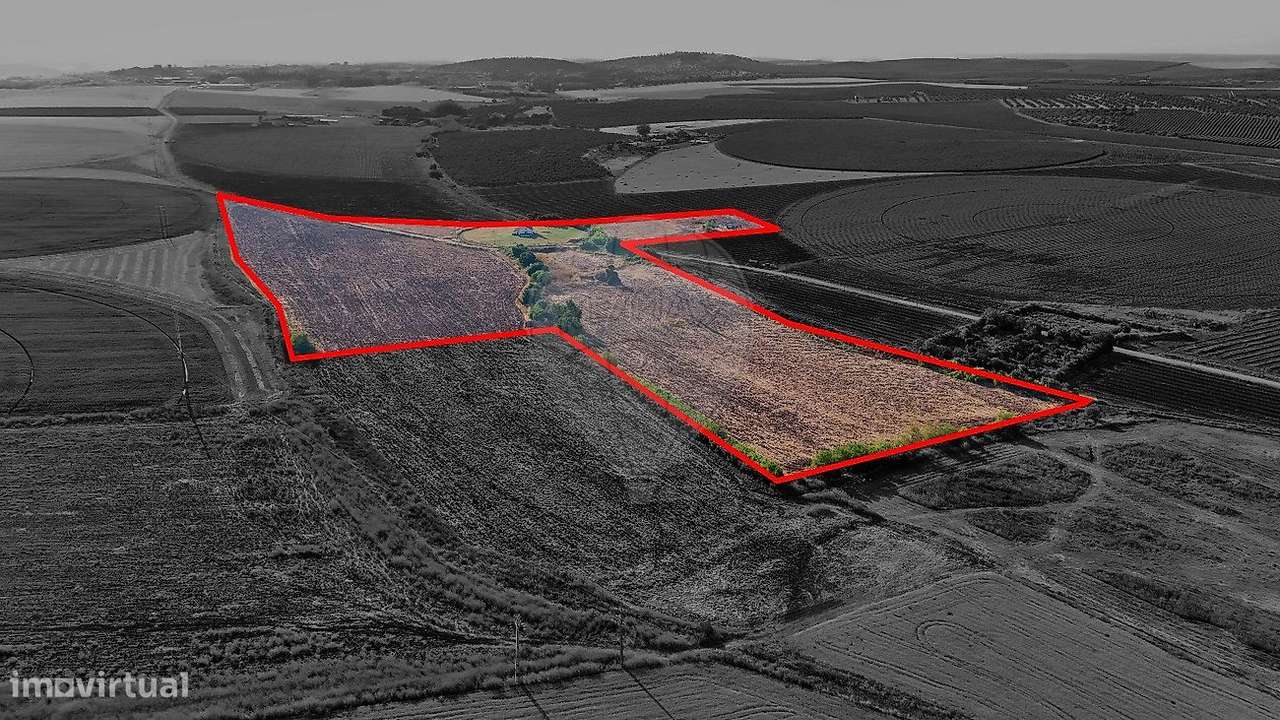 Quinta  para venda - Grande imagem: 3/17