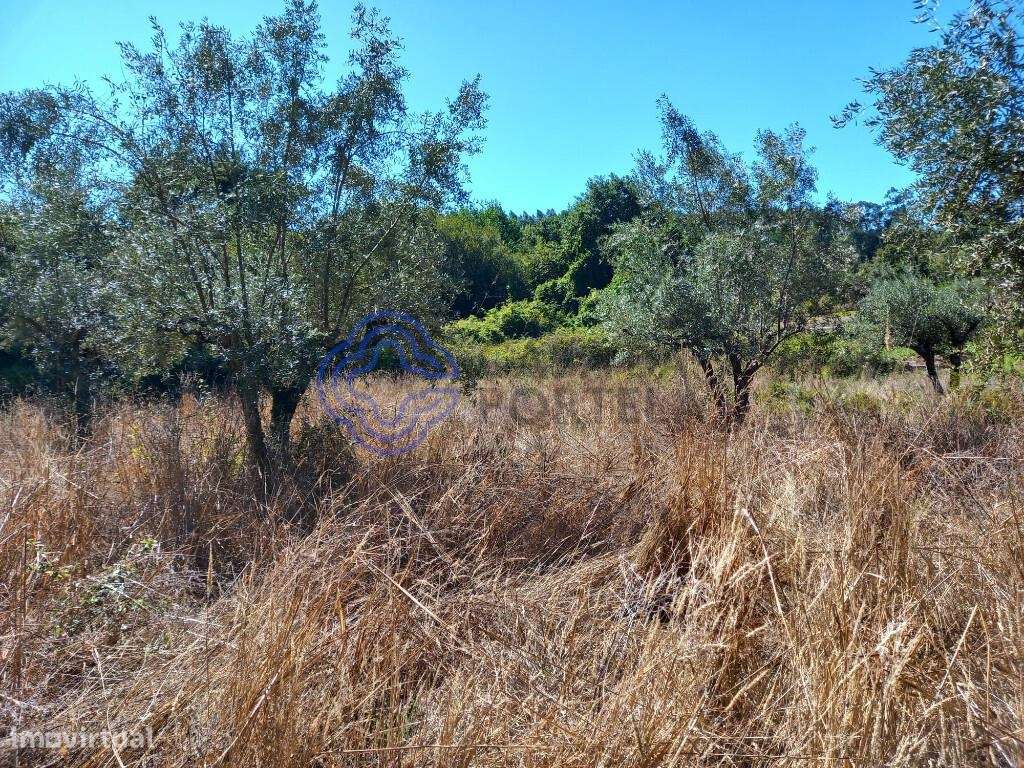 Terreno agrícola com uma ribeira a 10 minutos de Dornes-10