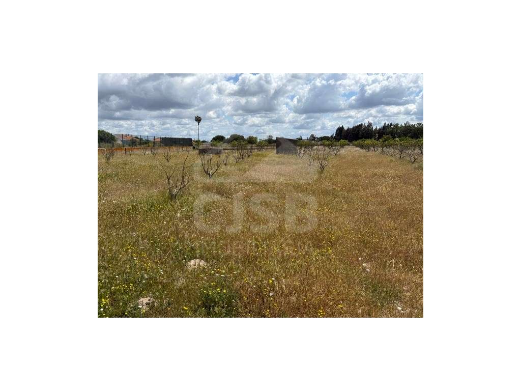 Terreno em Samora Correia-14