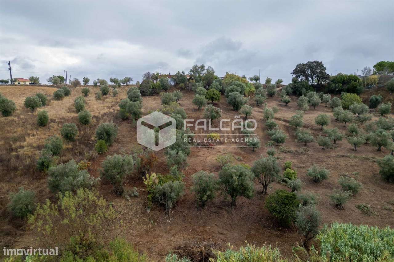 Moradia para Restaurar T2+2 Venda em Casével e Vaqueiros,Santarém-9