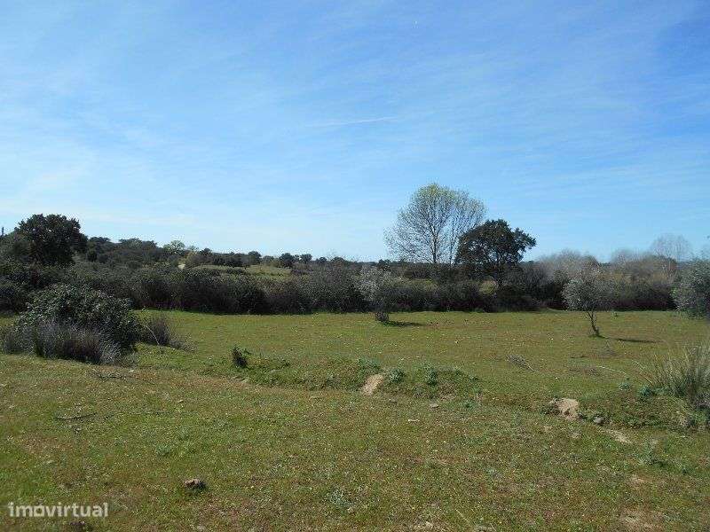 Quinta - Grande imagem: 5/15