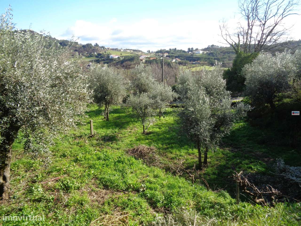Terreno - Teixoso - 7 min da Covilhã - Grande imagem: 5/13