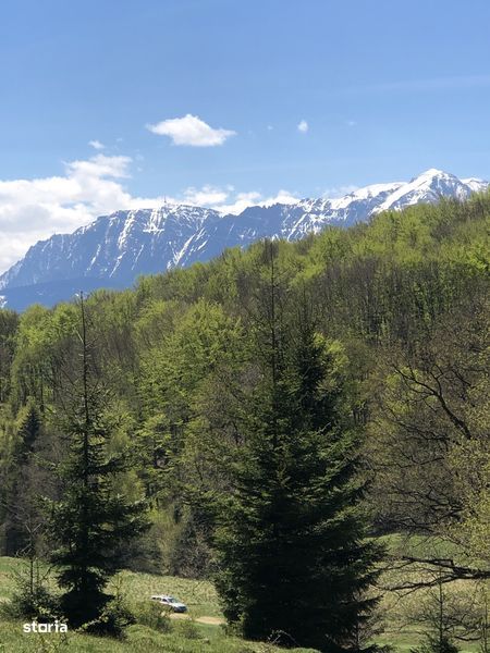 De vanzare teren  extravilan la patru km de Poiana Brasov