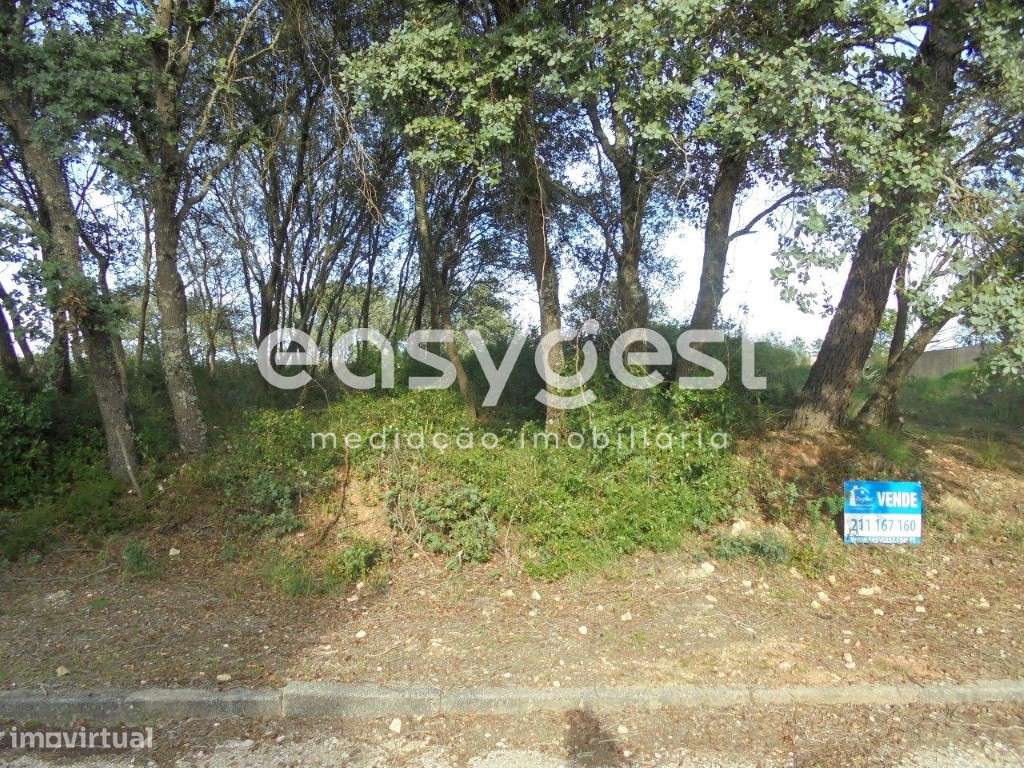 Terreno Urbano localizado a 5 minutos da Cidade Templária - Grande imagem: 5/17