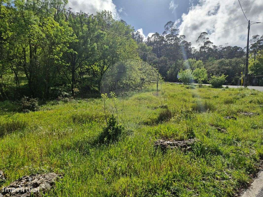 Terreno  para venda - Grande imagem: 2/20