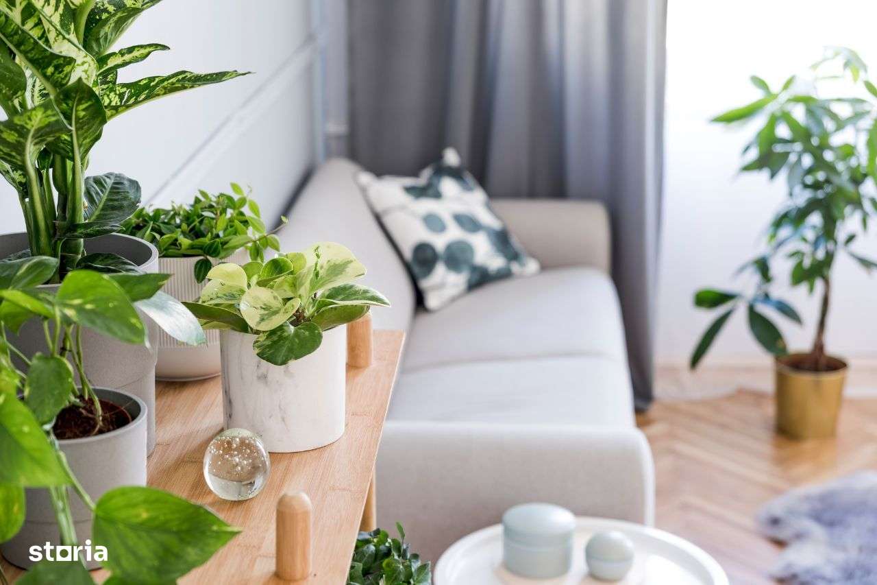 Investiție Inteligentă: Apartamente cu Rate Fixe, Fără Modificări! - Imagine principală: 1/16