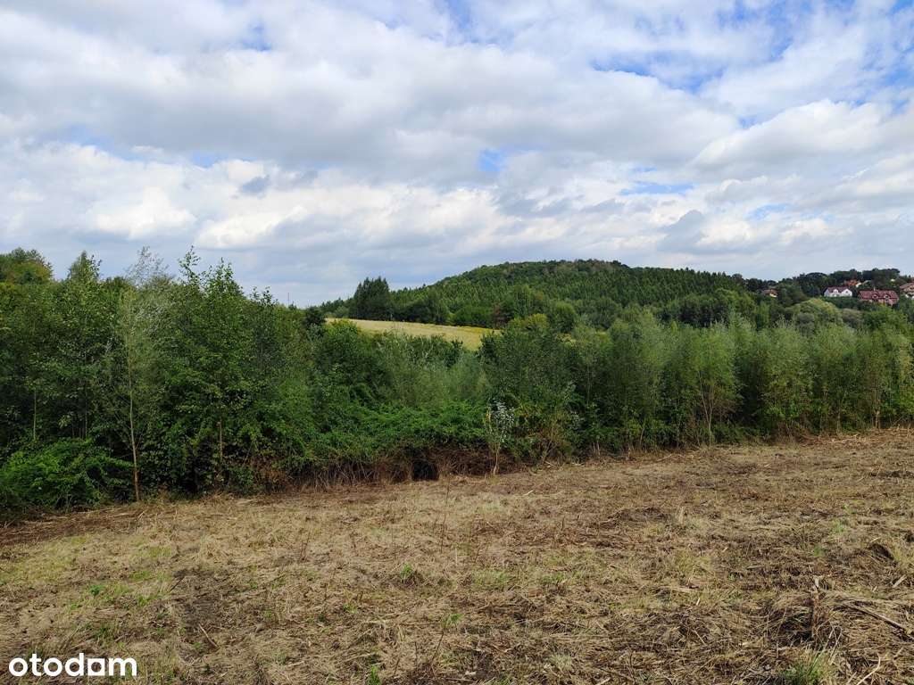 Działka 53a budowlano-rolna Kraków Podgórze Kosocice-5