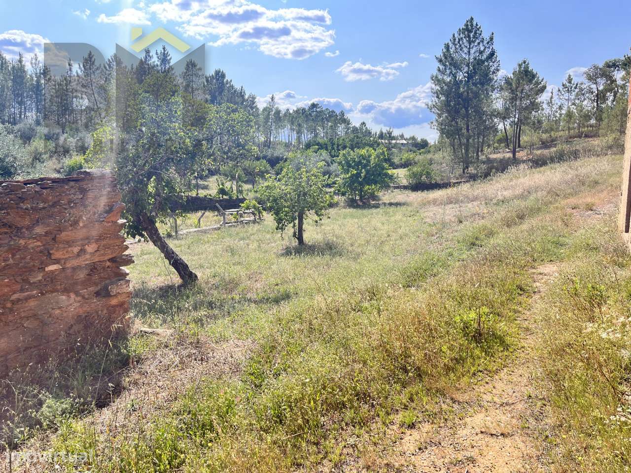 Moradia T3 Venda em Santo André das Tojeiras,Castelo Branco-25