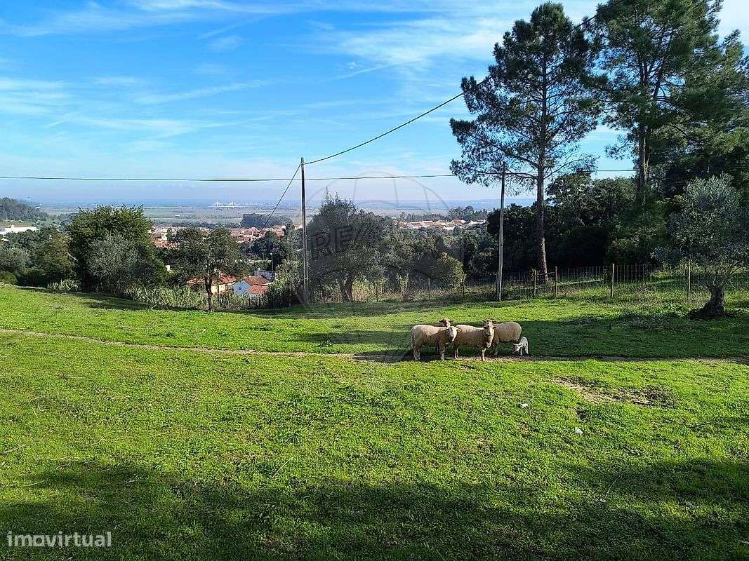 Terreno  para venda - Grande imagem: 2/3