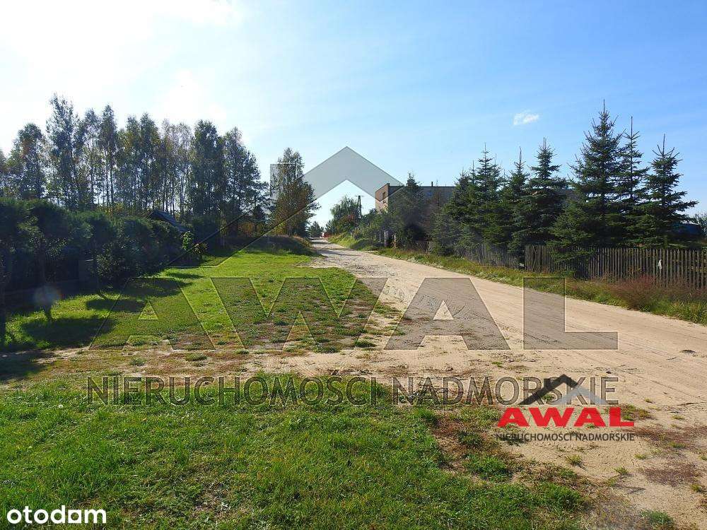 Duża działka rolna w Leśniewie blisko lasu-7