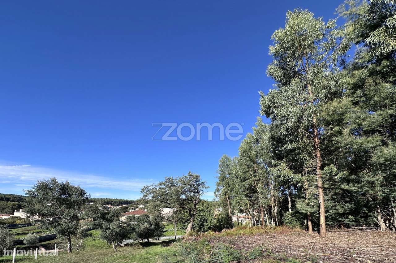 Terreno misto Figueiró dos Vinhos - Grande imagem: 5/20