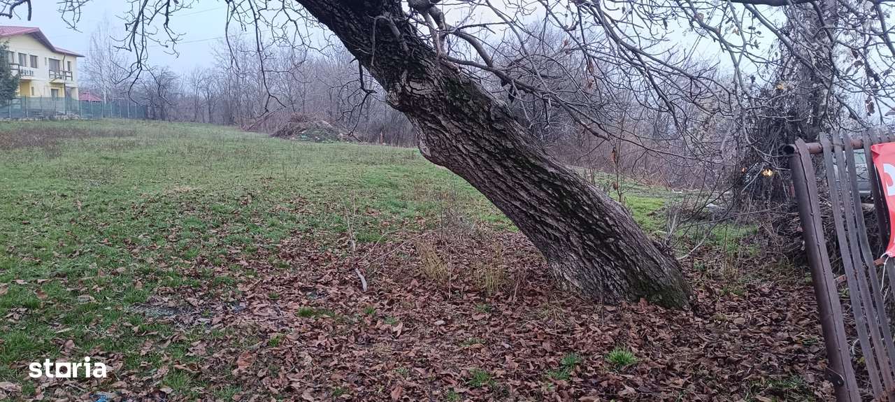 Proprietar Teren intravilan DE VÂNZARE (negociabil) sat Bobolia -PH - Imagine principală: 4/9