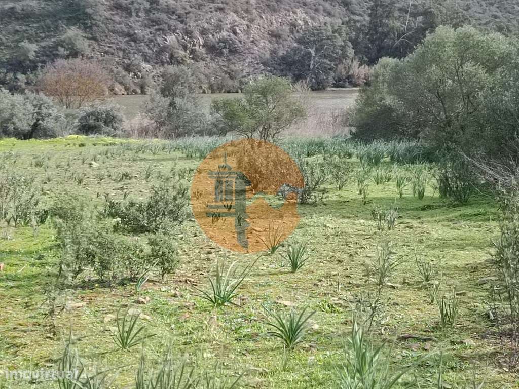 TERRENO RUSTICO COM 1.520 M2 - JUNTO AO RIO GUADIANA - ALCOUTIM - A... - Grande imagem: 5/24