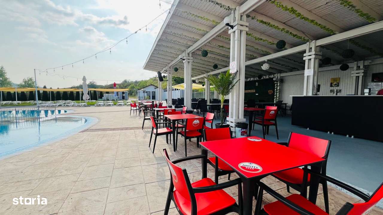 Piscina Cu Bar, Terasa Si Bucatarie, De Vanzare In Sebes, Jud Alba-9