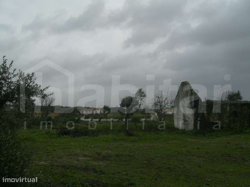 Terreno com 16380 m2 - Grande imagem: 5/6