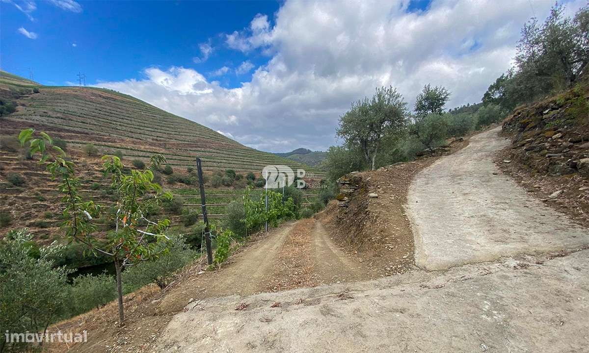 Terreno 12.600m² - Santo Aleixo - Grande imagem: 4/15