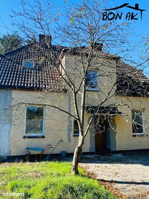 Dom z dużą działką-1