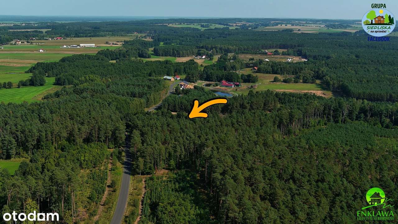 ENKLAWA prezentuje: działka w MEGA okolicy! PUSZCZA NOTECKA + jezioro!-7
