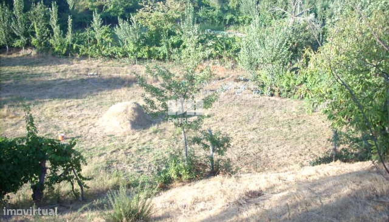 Venda Terreno, Cinfães - Grande imagem: 2/19